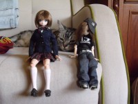 DSCF5032.JPG